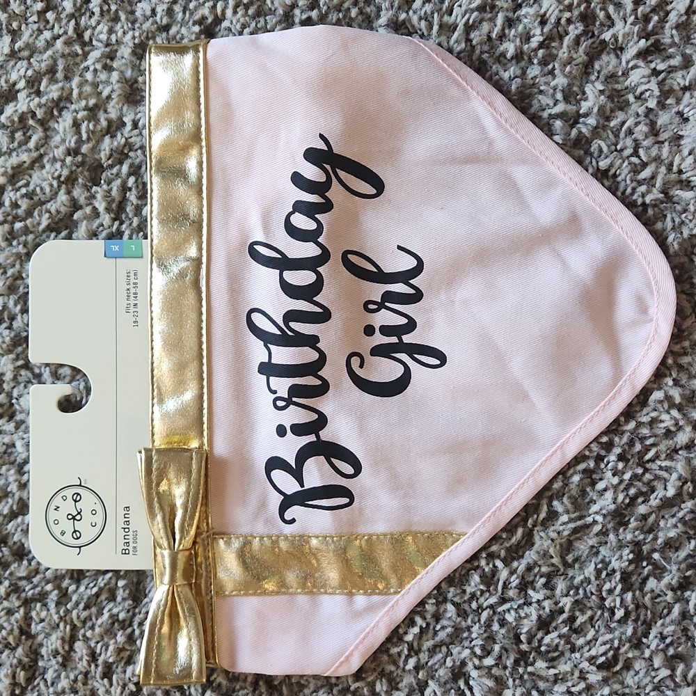 Dog Birthday Bandana